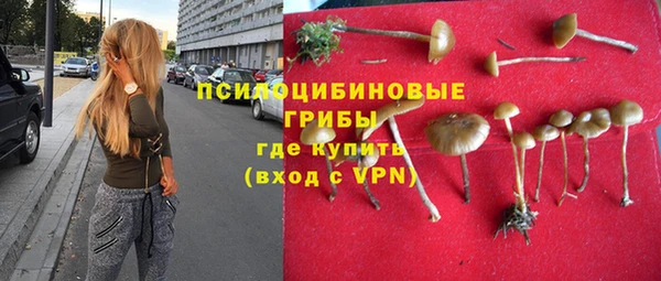 spice Армянск