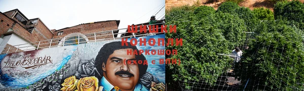 прущие крисы Арсеньев